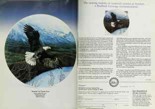 Better Homes & Gardens July 1991 Magazine Article: Page 88