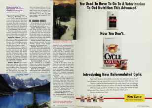 Better Homes & Gardens August 1991 Magazine Article: Page 144