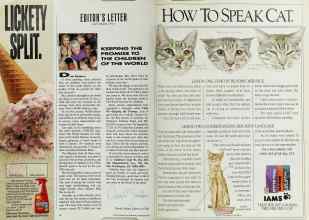 Better Homes & Gardens September 1991 Magazine Article: Page 8