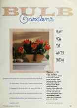 Better Homes & Gardens October 1991 Magazine Article: BULB Gardens