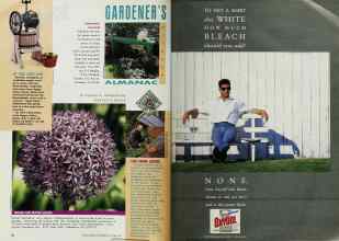 Better Homes & Gardens October 1991 Magazine Article: Page 22