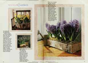 Better Homes & Gardens October 1991 Magazine Article: Page 28