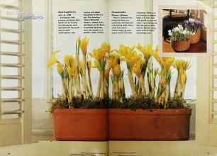 Better Homes & Gardens October 1991 Magazine Article: Page 30