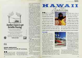 Better Homes & Gardens October 1991 Magazine Article: Page 164