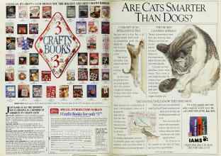 Better Homes & Gardens October 1991 Magazine Article: Page 178