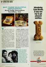 Better Homes & Gardens November 1991 Magazine Article: BUY THESE BEAUTIFUL ORNAMENTS