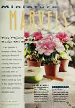 Better Homes & Gardens November 1991 Magazine Article: Miniature MARVELS