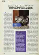 Better Homes & Gardens November 1991 Magazine Article: HEALTHFUL MEALS FOR CATS