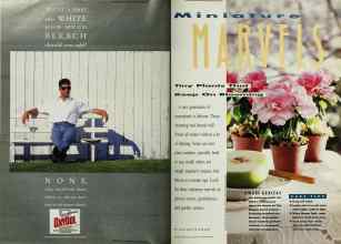 Better Homes & Gardens November 1991 Magazine Article: Page 18