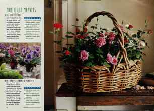 Better Homes & Gardens November 1991 Magazine Article: Page 20