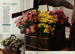 Better Homes & Gardens November 1991 Magazine Article: Page 22