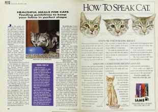 Better Homes & Gardens November 1991 Magazine Article: Page 138