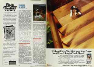 Better Homes & Gardens November 1991 Magazine Article: Page 142