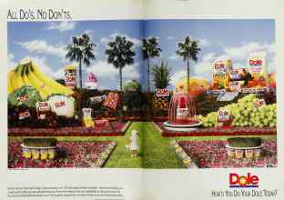 Better Homes & Gardens December 1991 Magazine Article: Page 8