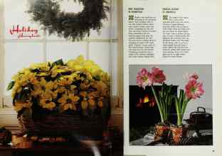 Better Homes & Gardens December 1991 Magazine Article: Page 24