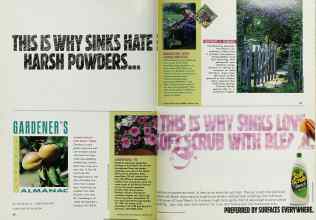 Better Homes & Gardens January 1992 Magazine Article: Page 66
