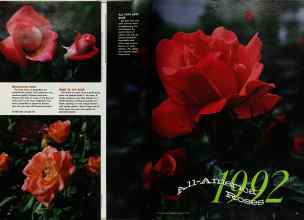 Better Homes & Gardens January 1992 Magazine Article: Page 70