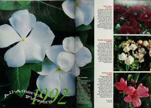 Better Homes & Gardens January 1992 Magazine Article: Page 72