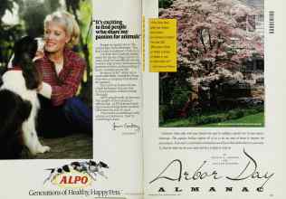 Better Homes & Gardens February 1992 Magazine Article: Page 22