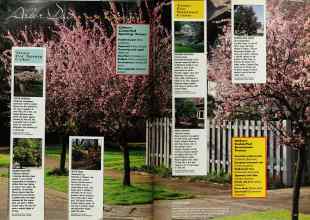 Better Homes & Gardens February 1992 Magazine Article: Page 24