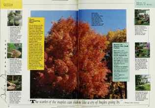 Better Homes & Gardens February 1992 Magazine Article: Page 26