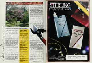 Better Homes & Gardens February 1992 Magazine Article: Page 30