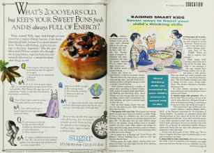 Better Homes & Gardens February 1992 Magazine Article: Page 66