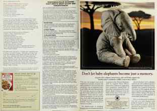 Better Homes & Gardens February 1992 Magazine Article: Page 166