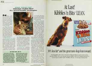 Better Homes & Gardens February 1992 Magazine Article: Page 170