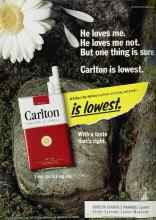 Better Homes & Gardens April 1992 Magazine Article: Page 210