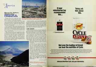 Better Homes & Gardens April 1992 Magazine Article: Page 192