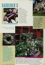 Better Homes & Gardens May 1992 Magazine Article: SHOWCASE YOUR ROSES