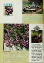 Better Homes & Gardens May 1992 Magazine Article: INSTANT WATER GARDEN