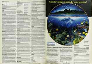 Better Homes & Gardens May 1992 Magazine Article: Page 58