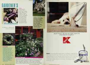 Better Homes & Gardens May 1992 Magazine Article: Page 62