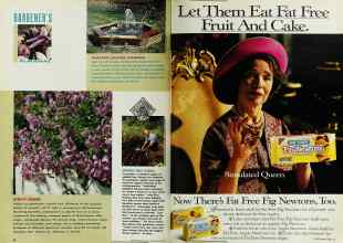 Better Homes & Gardens May 1992 Magazine Article: Page 64