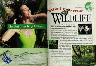 Better Homes & Gardens May 1992 Magazine Article: Page 68