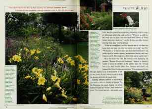Better Homes & Gardens May 1992 Magazine Article: Page 70