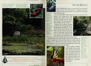 Better Homes & Gardens May 1992 Magazine Article: Page 72