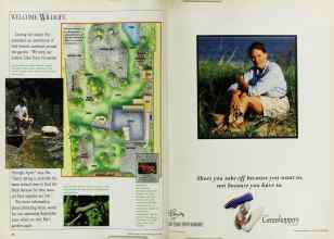 Better Homes & Gardens May 1992 Magazine Article: Page 74