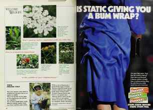 Better Homes & Gardens May 1992 Magazine Article: Page 76