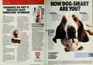 Better Homes & Gardens May 1992 Magazine Article: Page 192