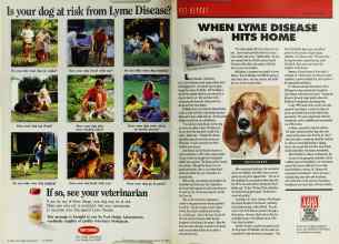 Better Homes & Gardens May 1992 Magazine Article: Page 194