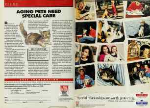 Better Homes & Gardens May 1992 Magazine Article: Page 196