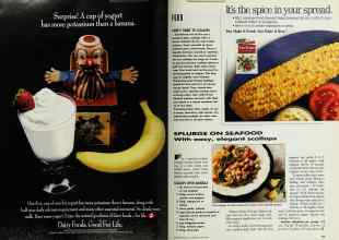 Better Homes & Gardens June 1992 Magazine Article: Page 162