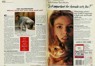 Better Homes & Gardens June 1992 Magazine Article: Page 188