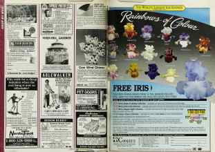 Better Homes & Gardens June 1992 Magazine Article: Page 198
