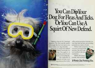 Better Homes & Gardens July 1992 Magazine Article: Page 2