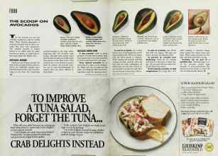 Better Homes & Gardens July 1992 Magazine Article: THE SCOOP ON AVOCADOS