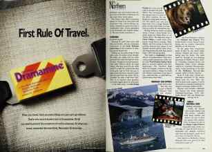 Better Homes & Gardens July 1992 Magazine Article: Page 164